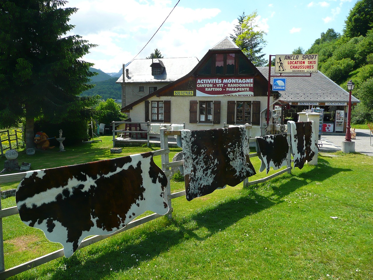 mountain chalet cow skins free photo