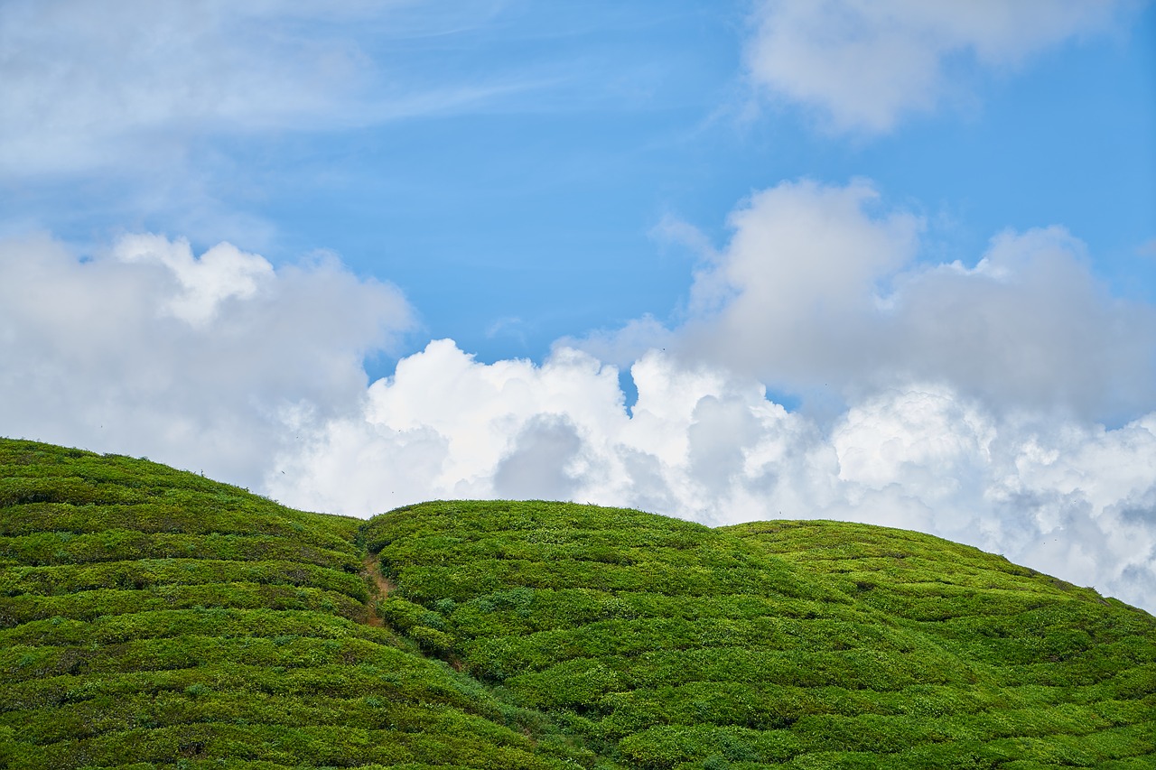 mountain nature taylor free photo