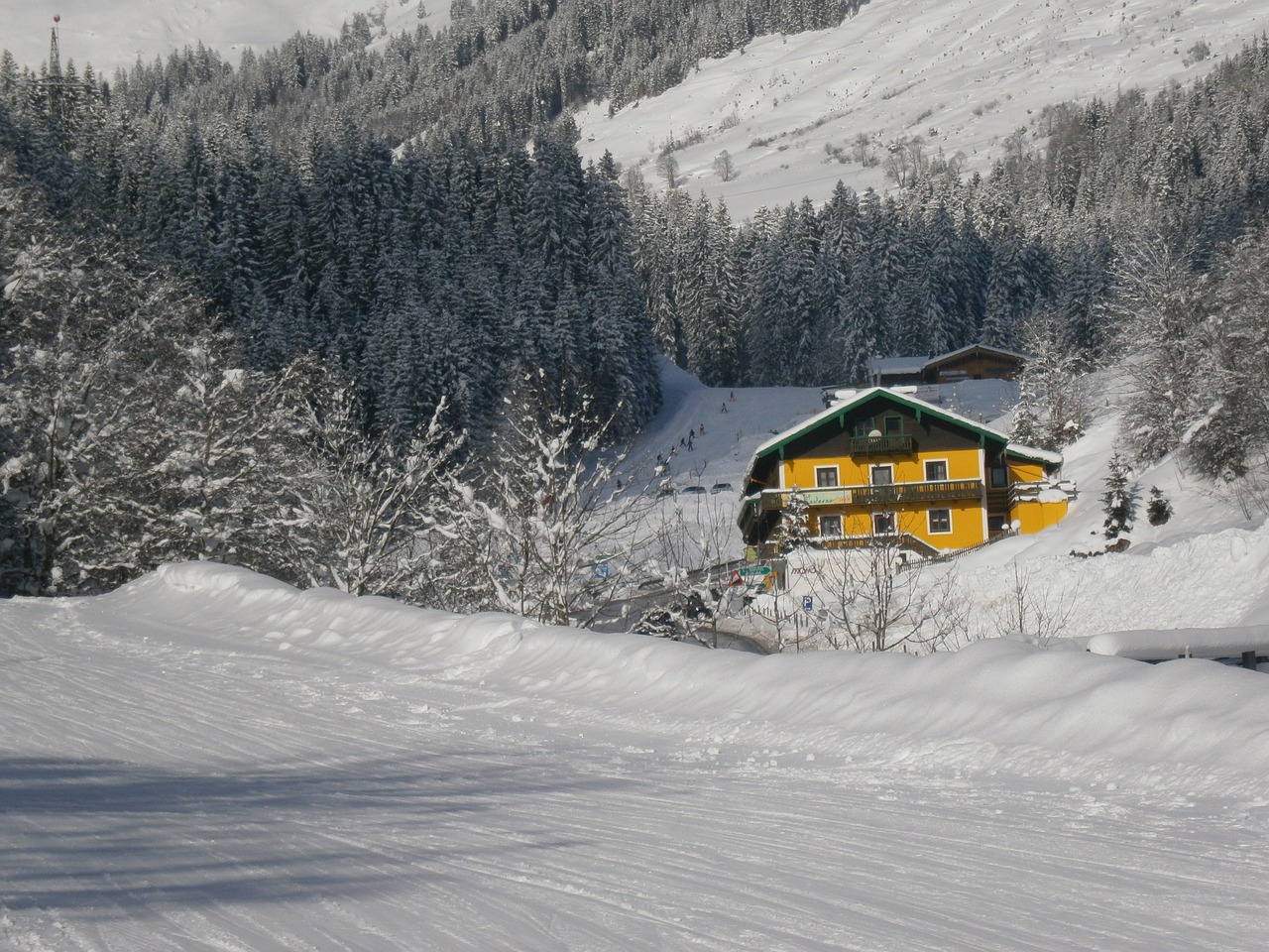 mountain snow austria free photo