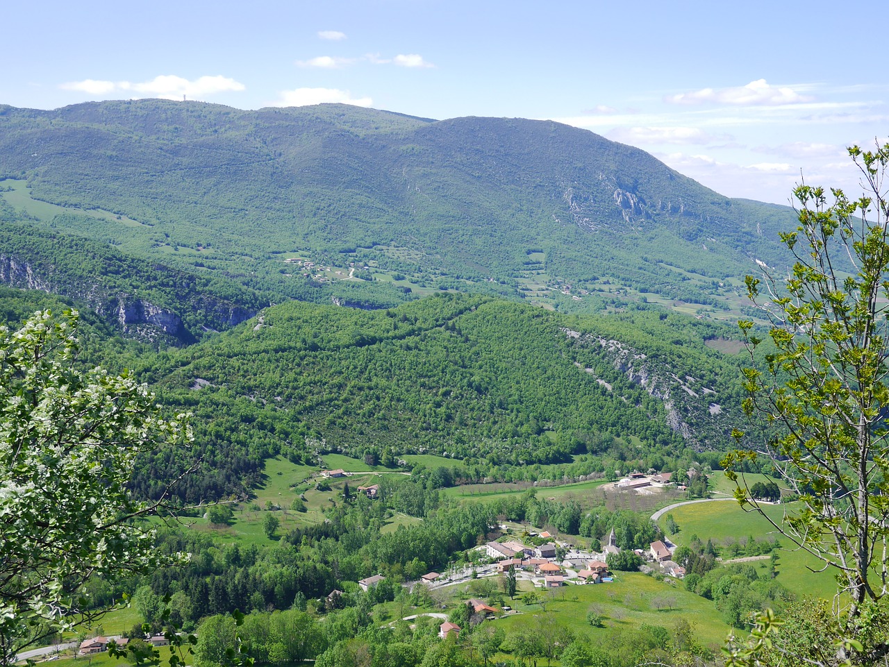 mountain forest landscape free photo