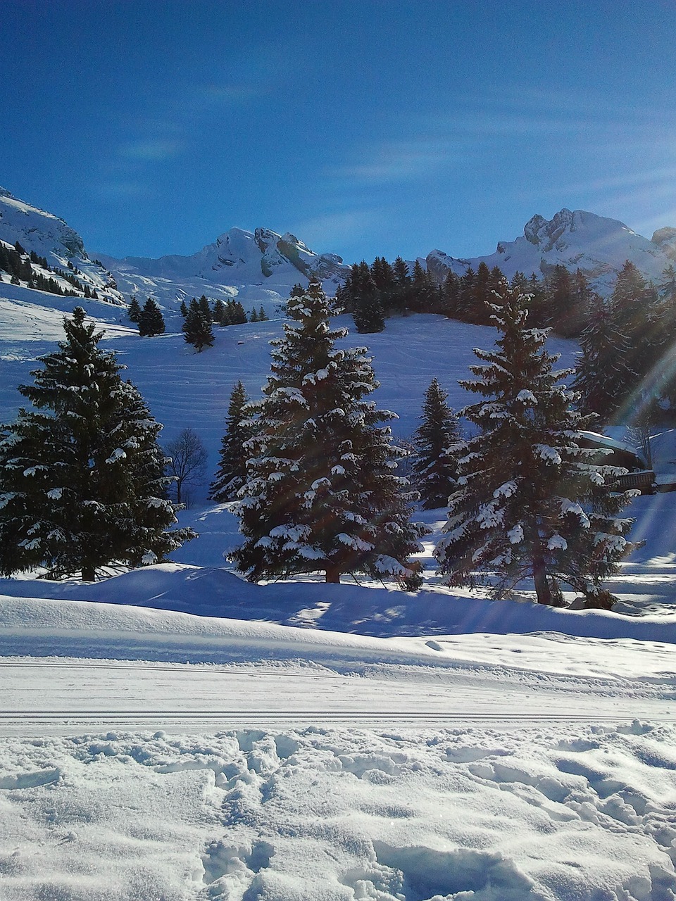 mountain snow winter free photo