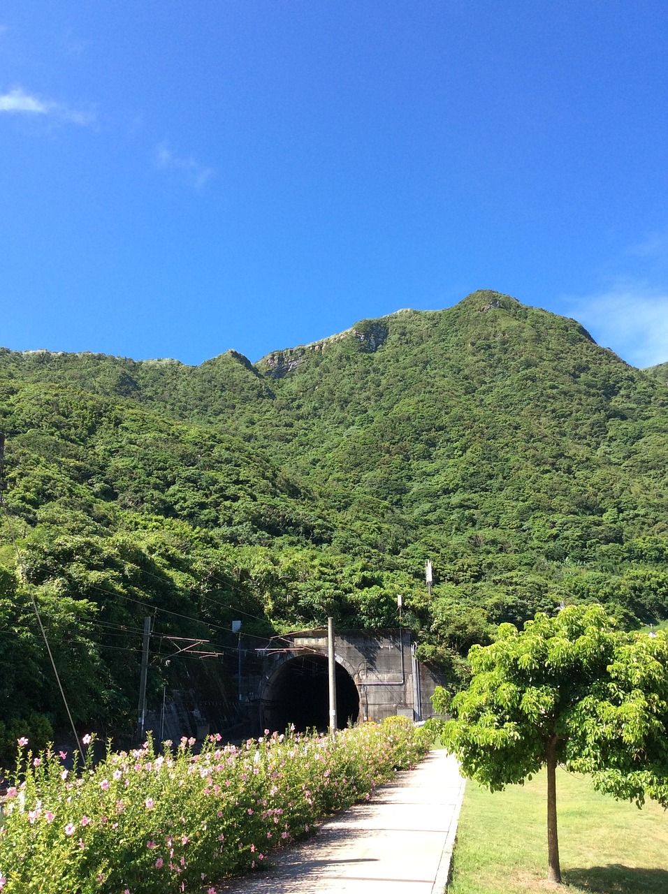 mountain tunnel trees free photo