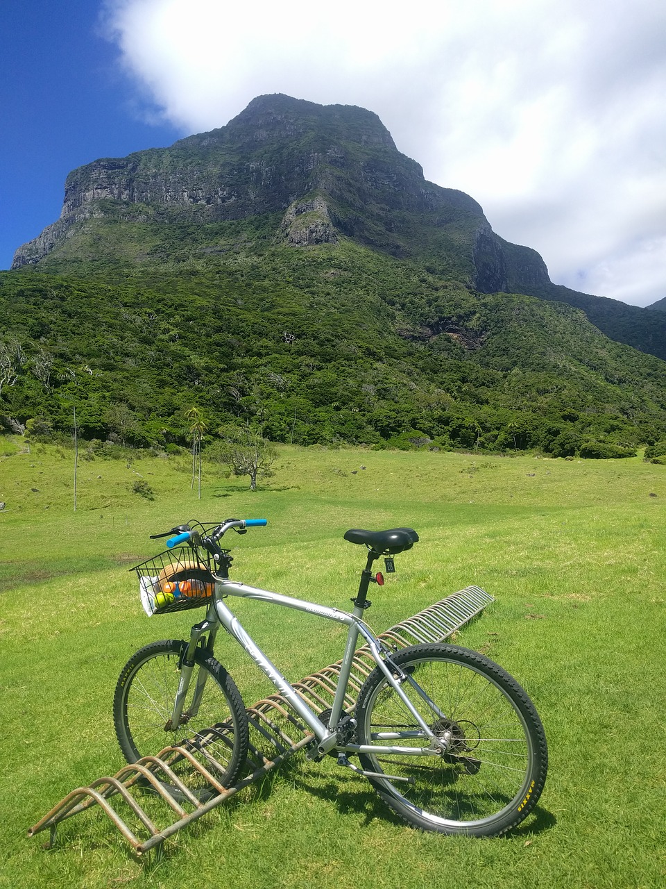 mountain bike scenic free photo