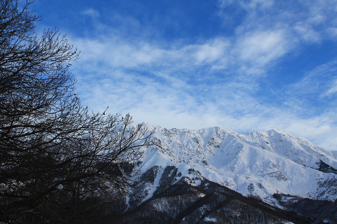 mountain snow landscape free photo