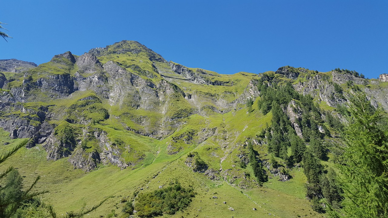 mountain alm alpine free photo