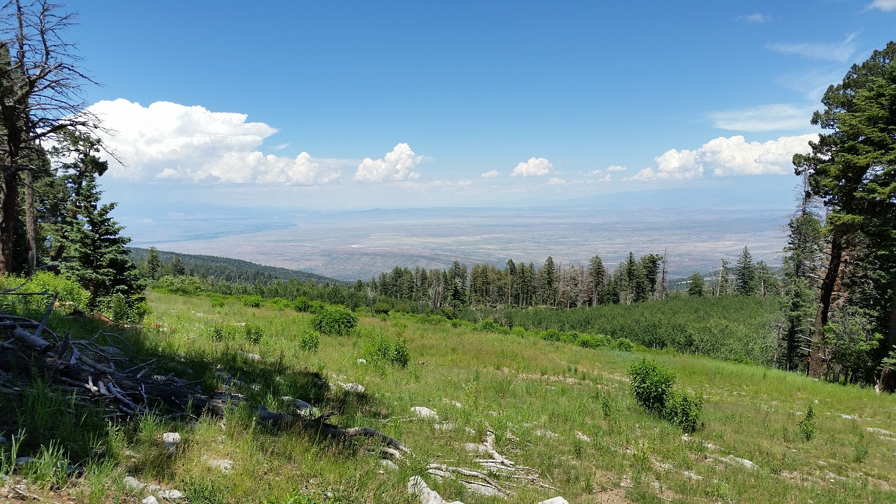 mountain field sandia mountains free photo