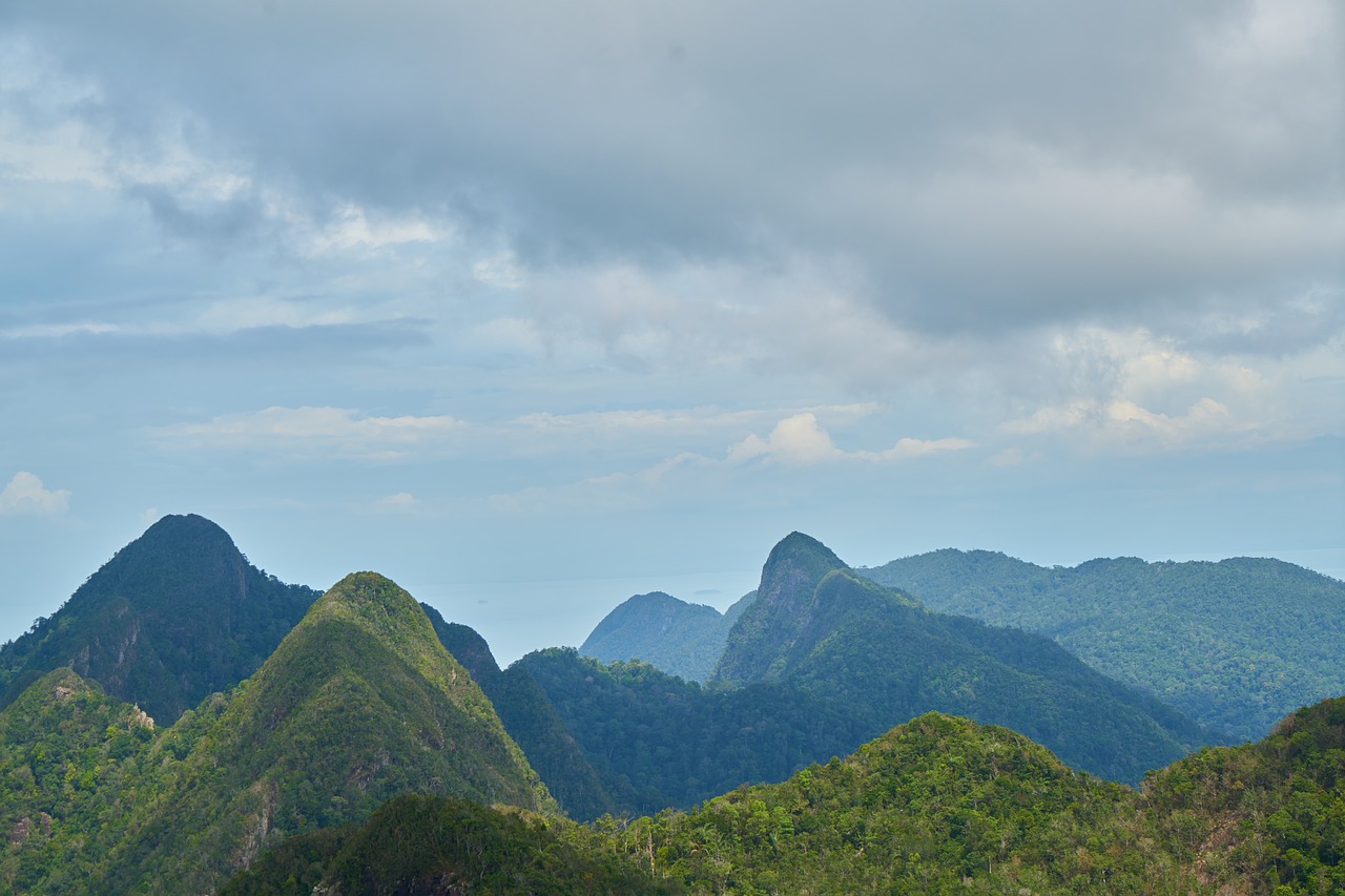 mountain forest landscape free photo