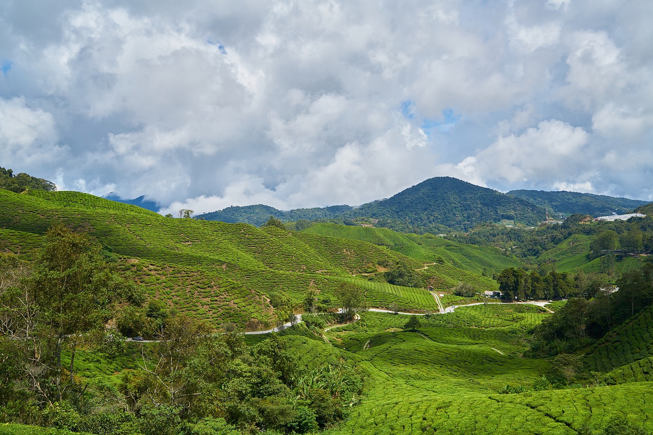 mountain green blue free photo