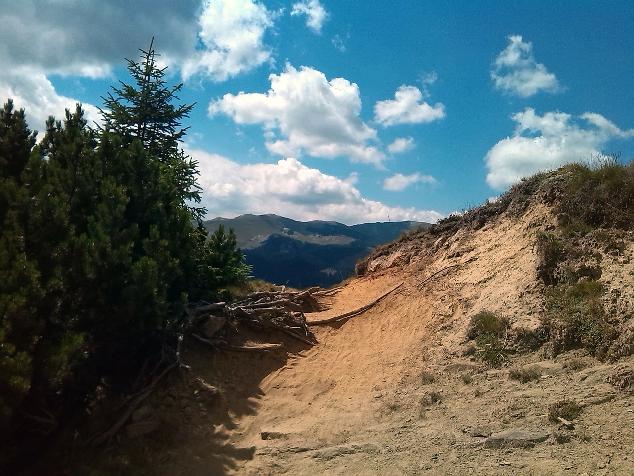 mountain summer romania free photo