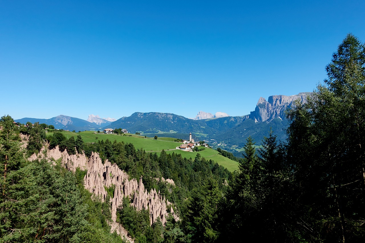 mountain fir nature free photo