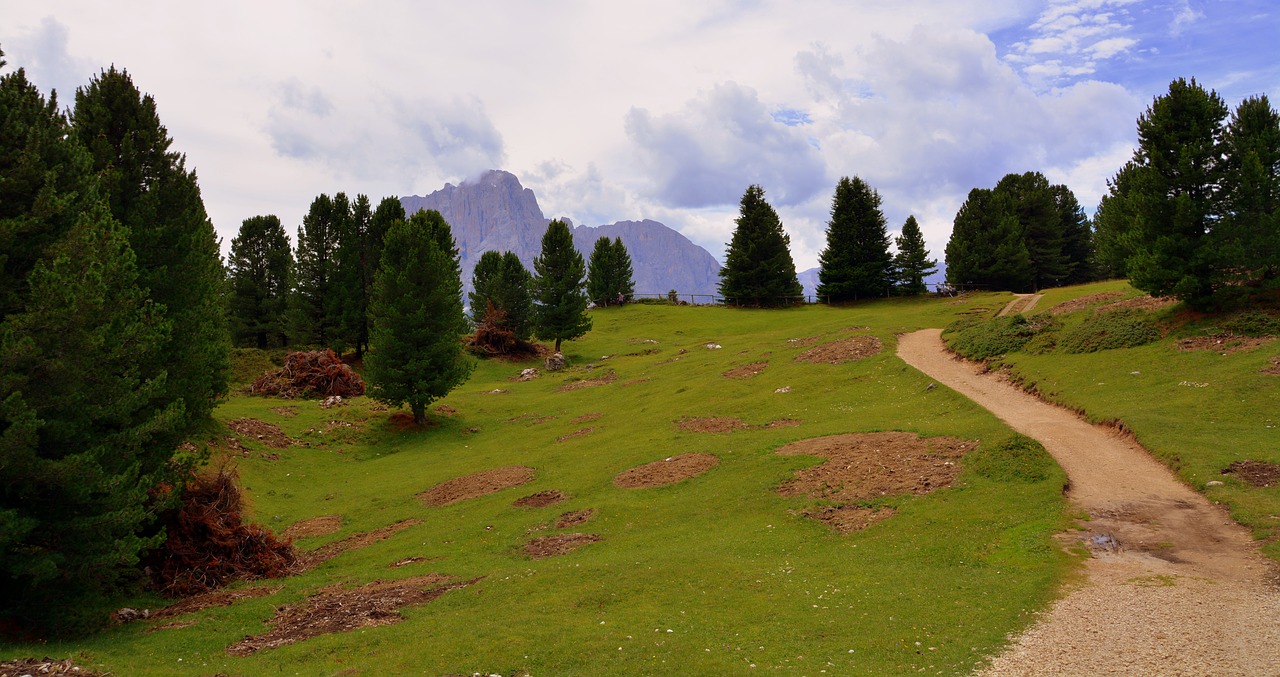 mountain prato dolomites free photo