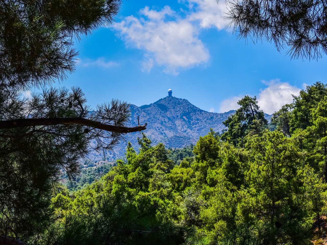 mountain peak forest free photo