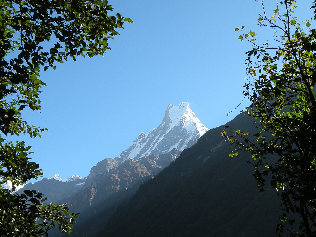 mountain snow nature free photo