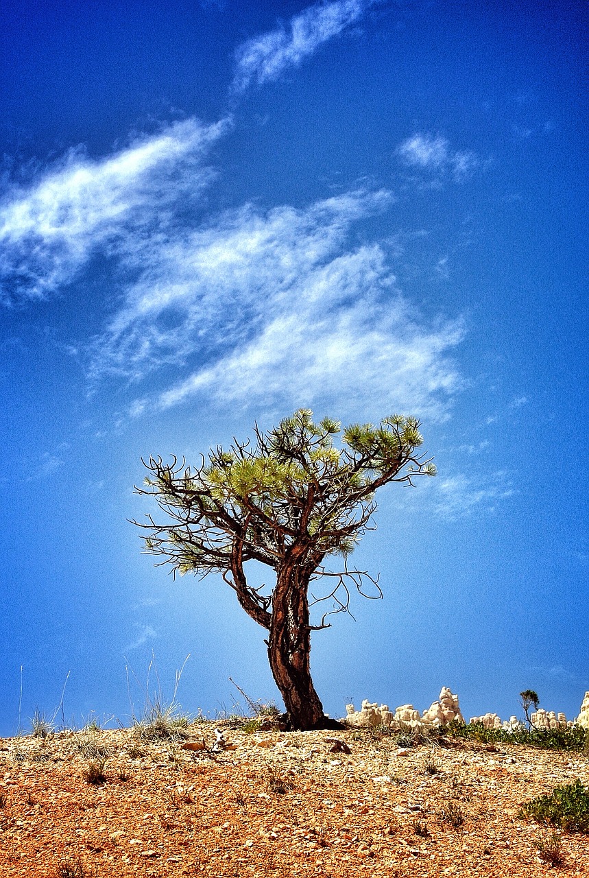 mountain highland cloud free photo