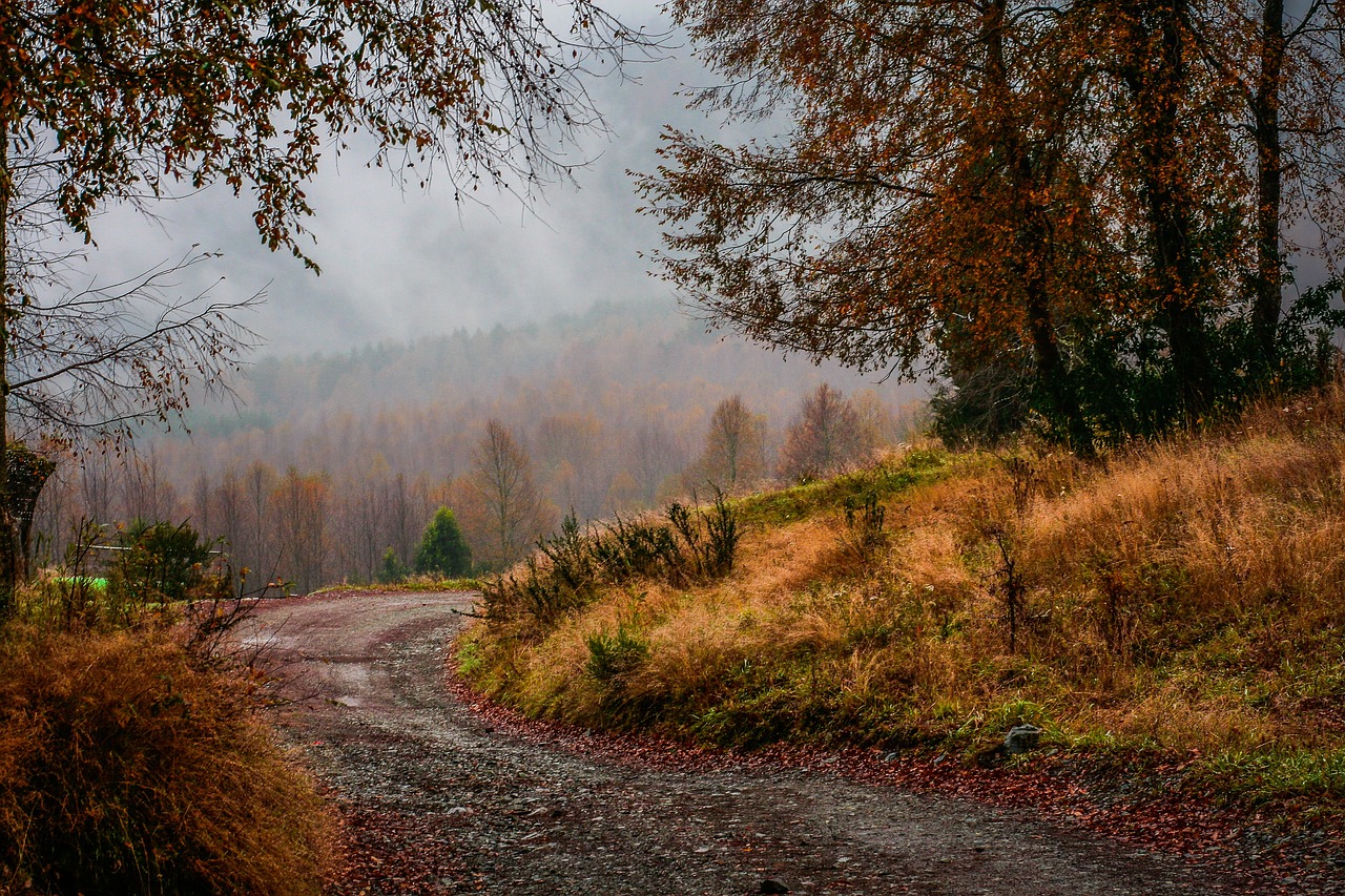 mountain highland cloud free photo