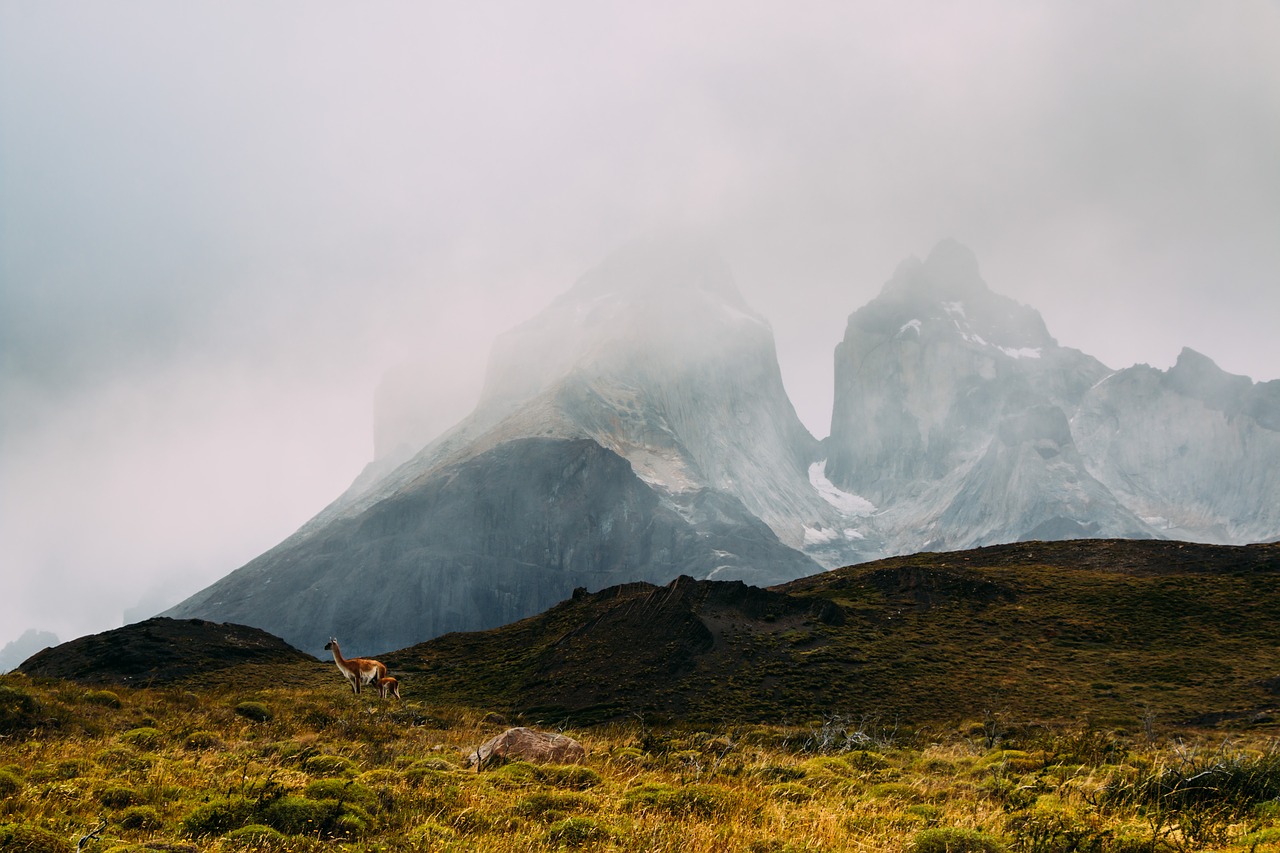 mountain highland cloud free photo