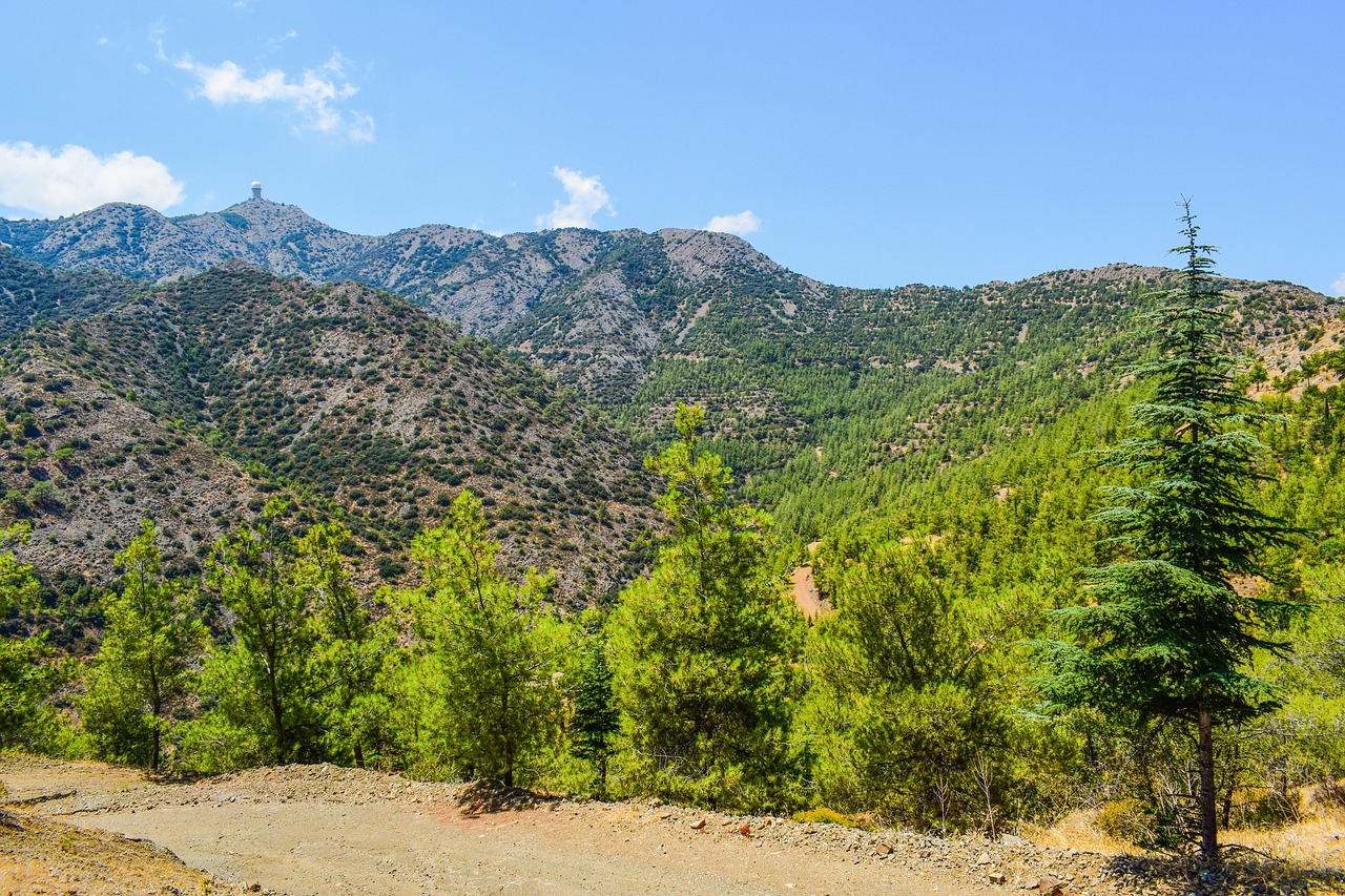 mountain peak forest free photo