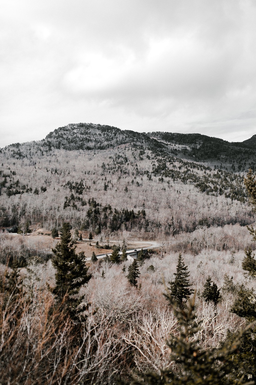 mountain highland cloud free photo