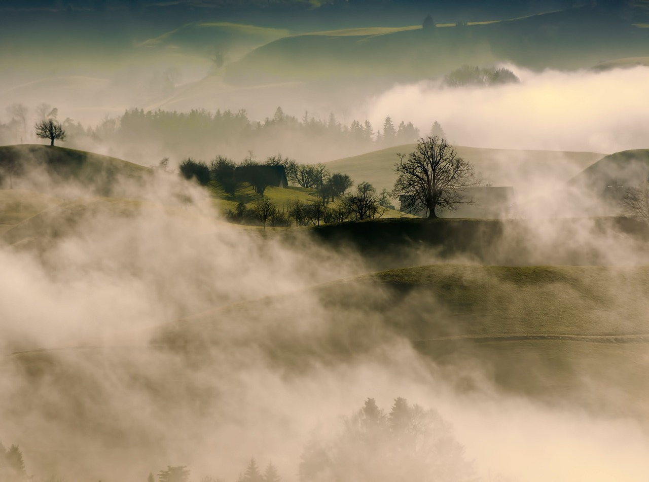 mountain highland trees free photo