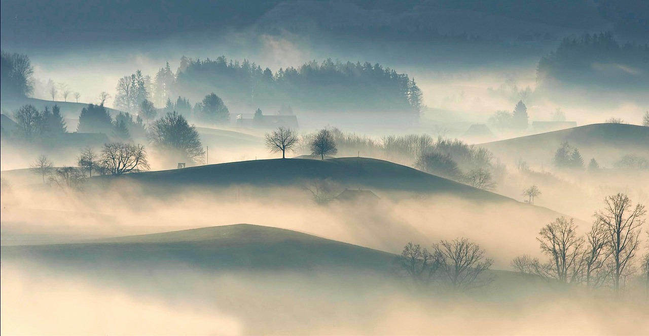 mountain highland trees free photo