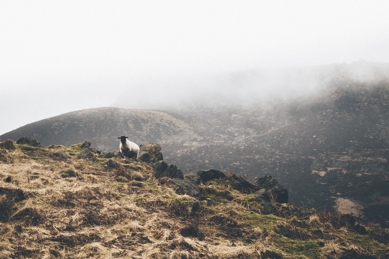 mountain highland cloud free photo