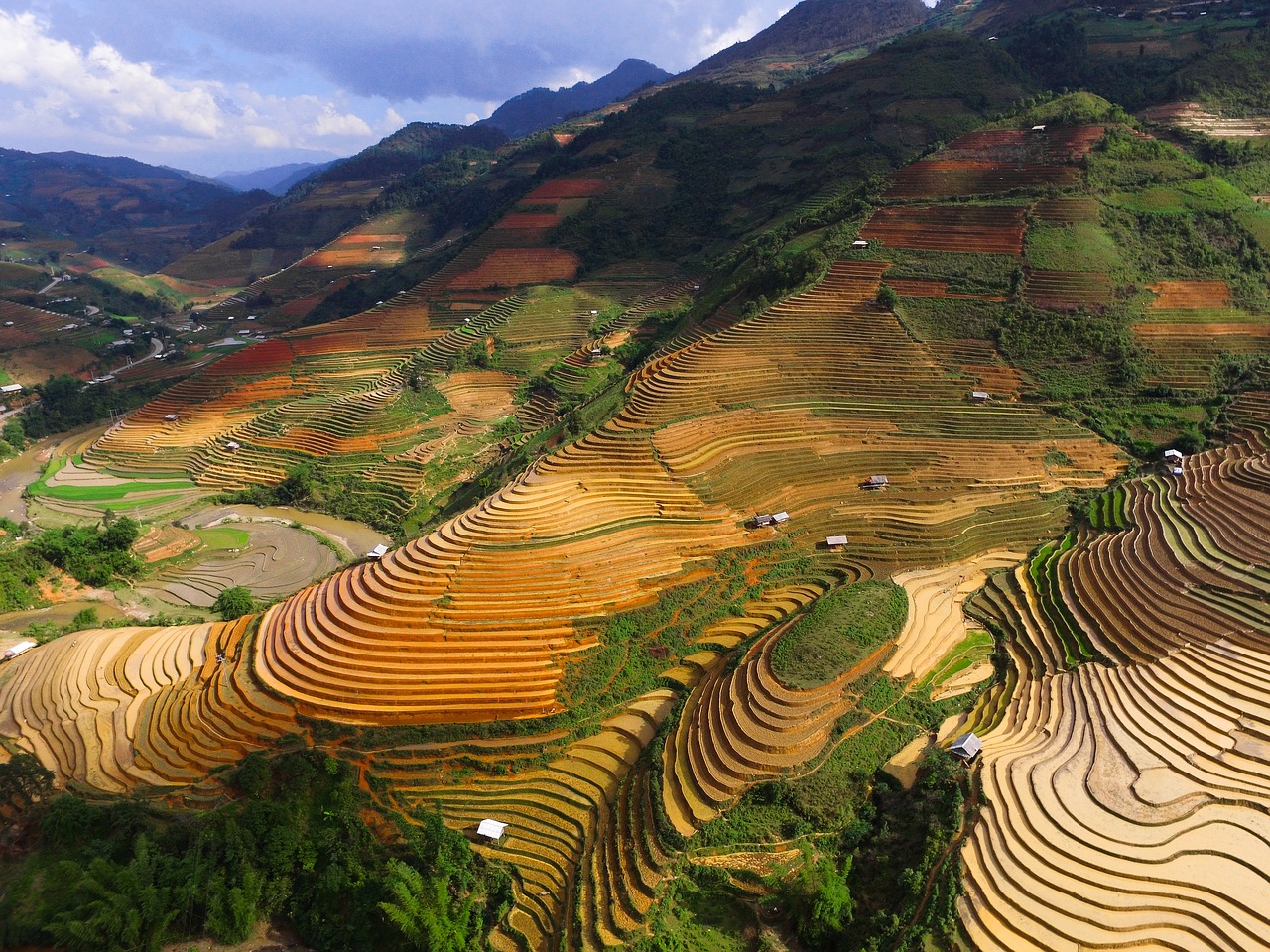 mountain ricefield farm free photo