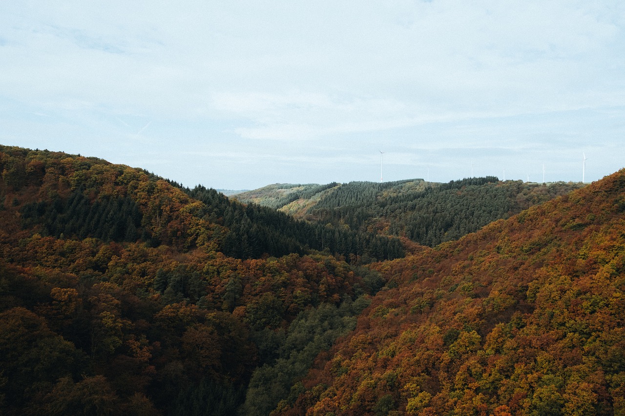 mountain valley tree free photo