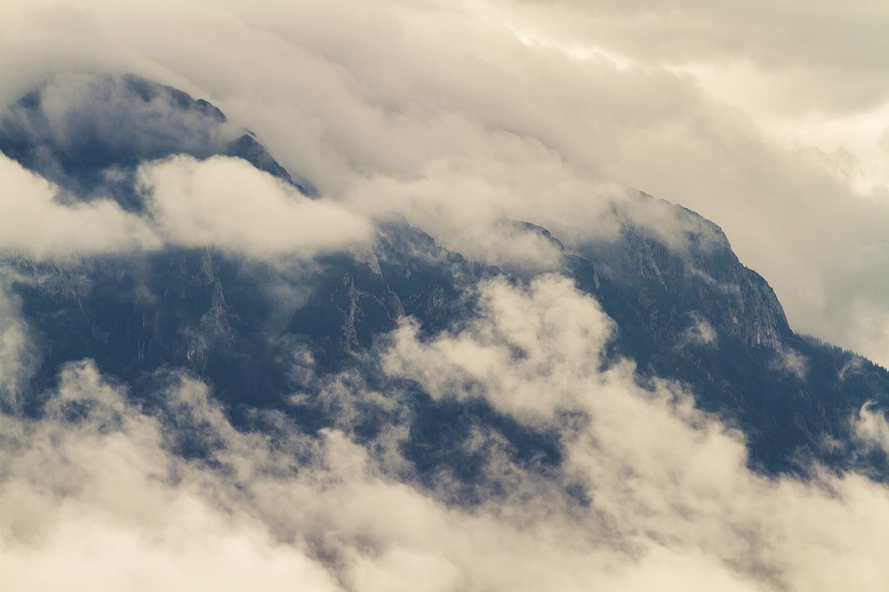 mountain landscape tree free photo