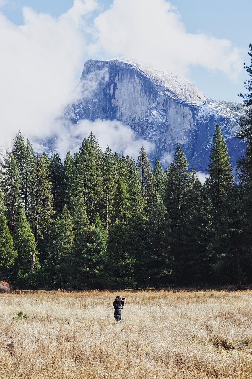 mountain valley trees free photo