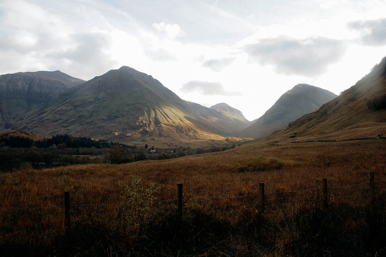 mountain highland grass free photo