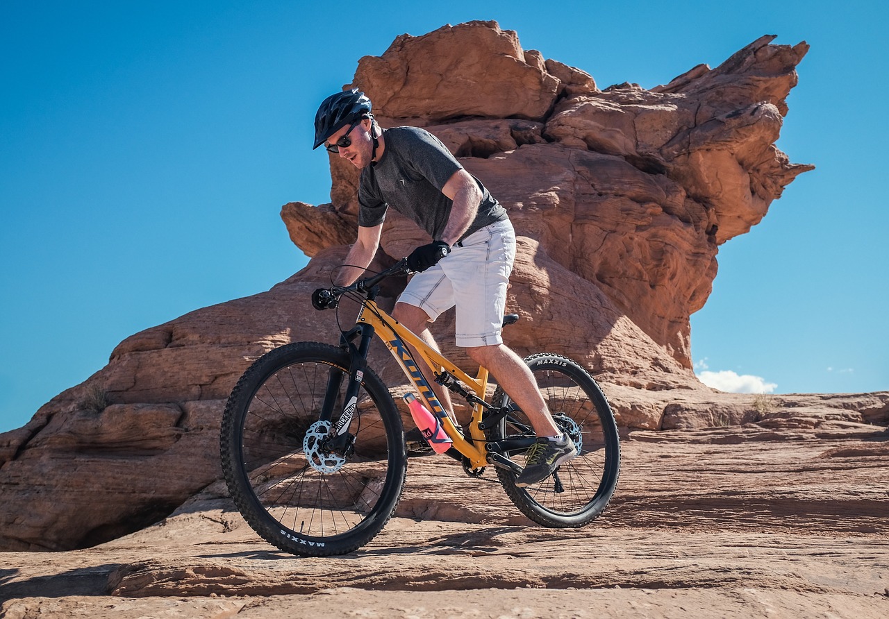 mountain bike bicycle free photo