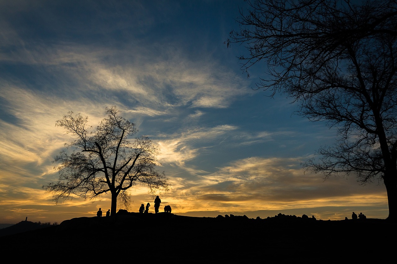 mountain landscape tree free photo