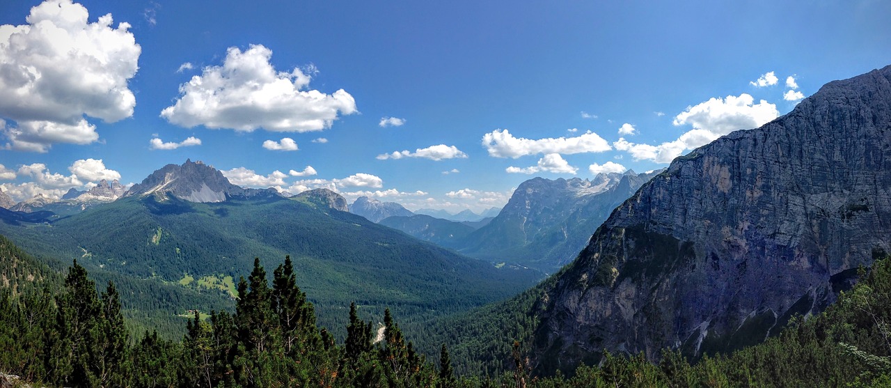 mountain highland trees free photo