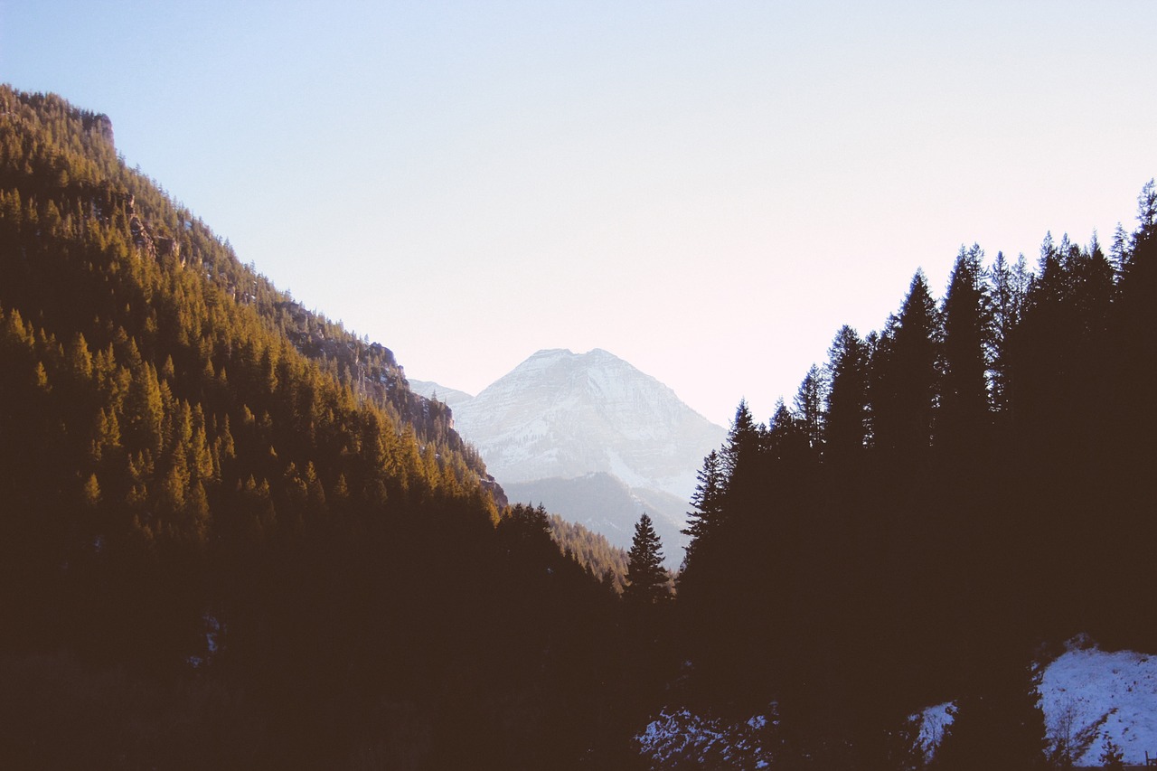 mountain valley trees free photo