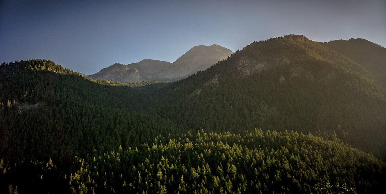 mountain valley trees free photo