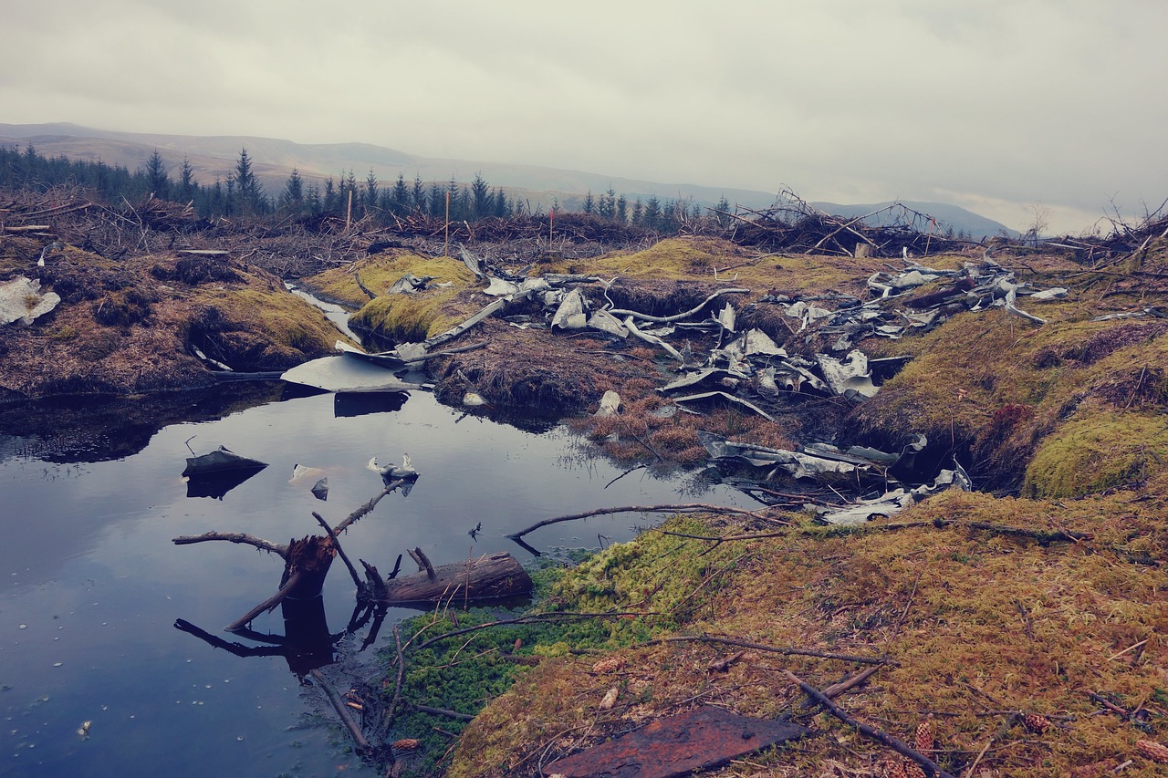 mountain grass water free photo