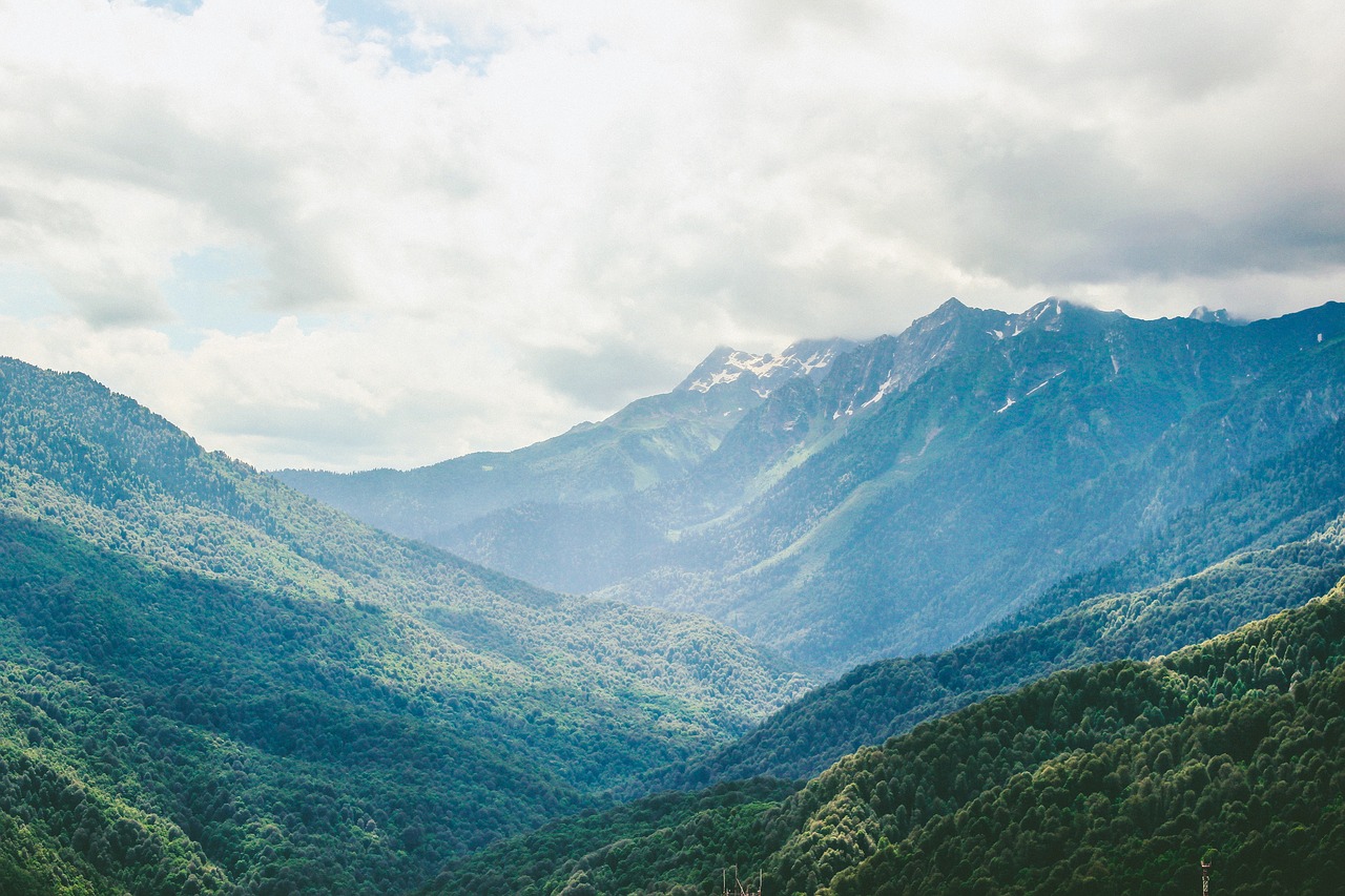 mountain highland trees free photo