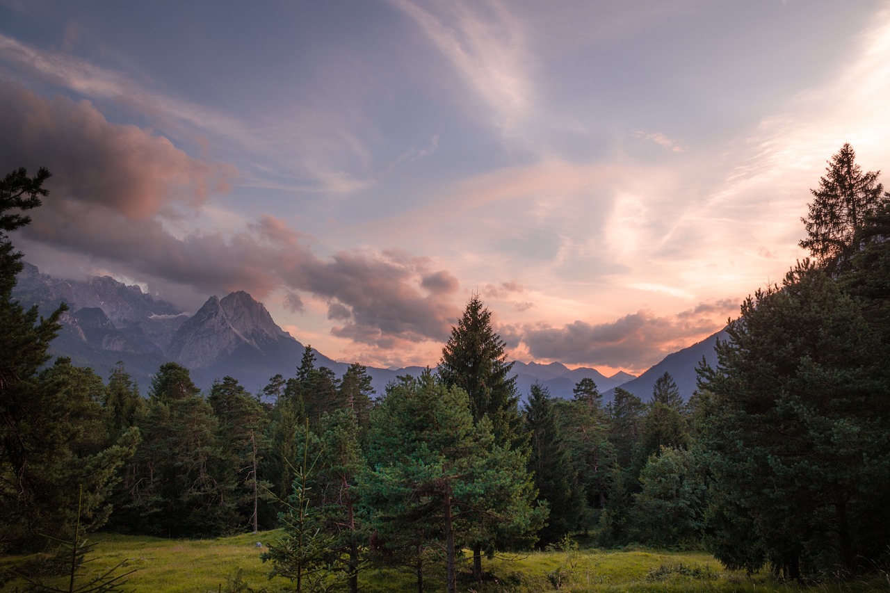 mountain highland trees free photo