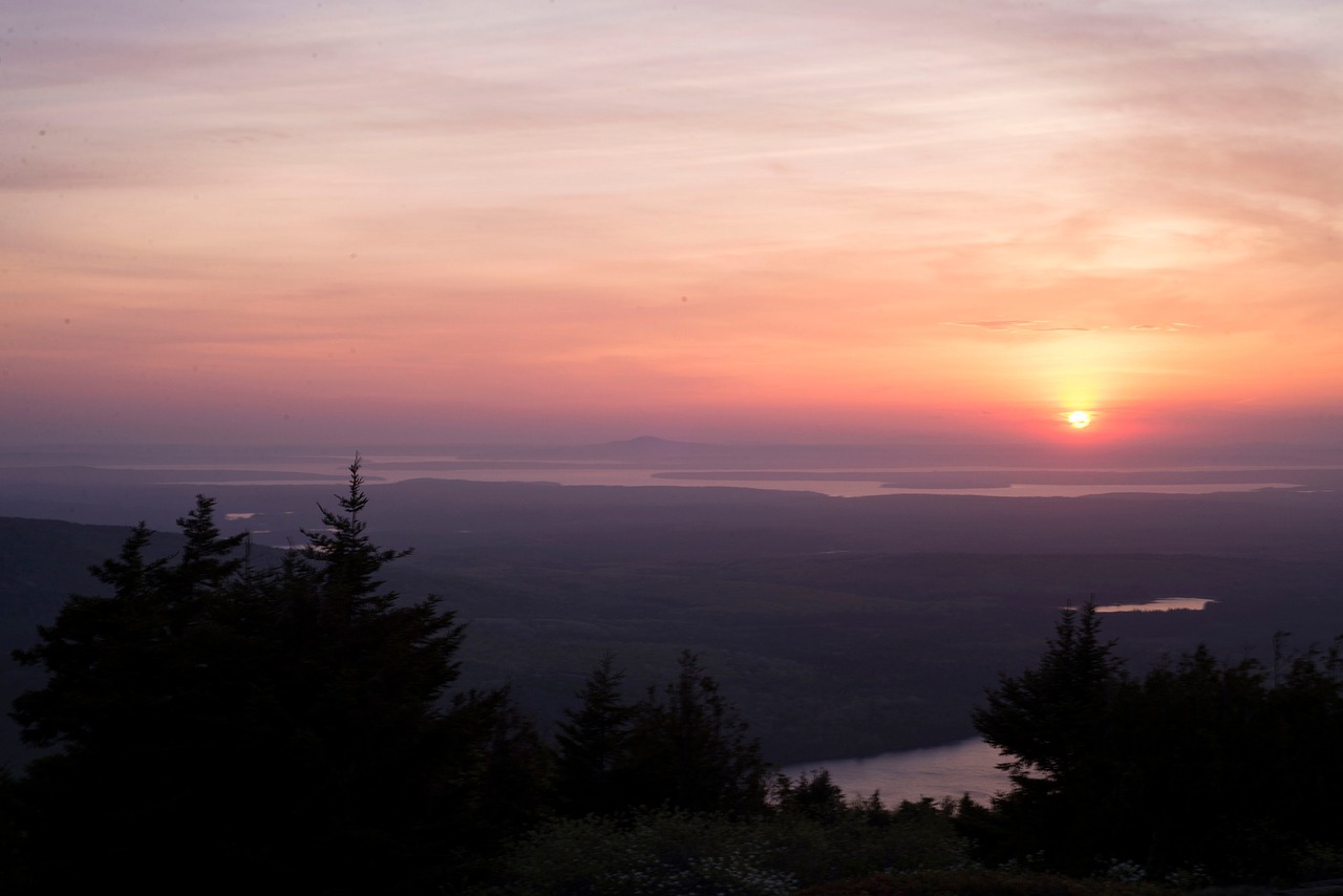 mountain highland trees free photo