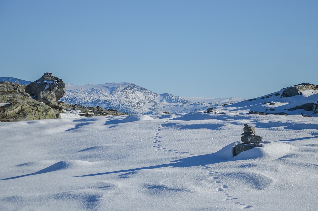 mountain valley landscape free photo