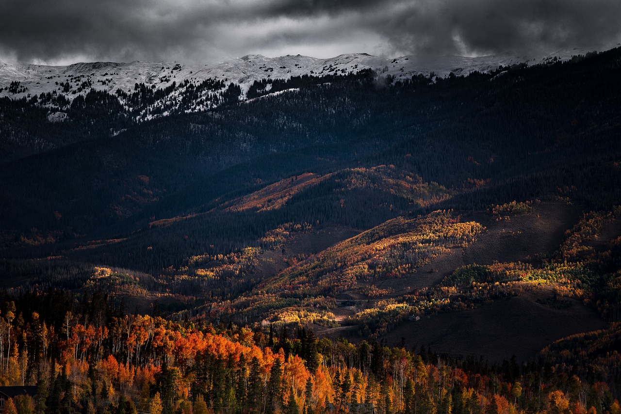 mountain valley trees free photo