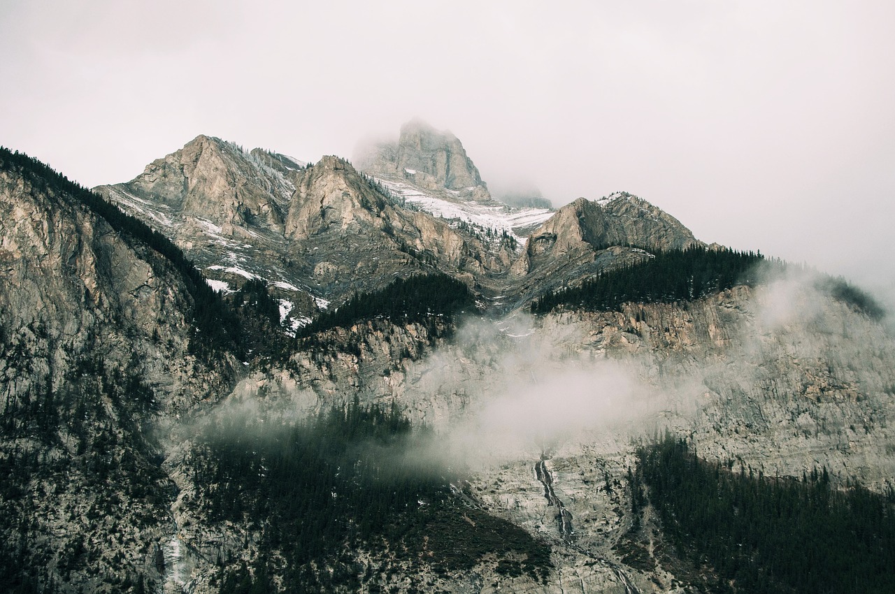 mountain valley trees free photo