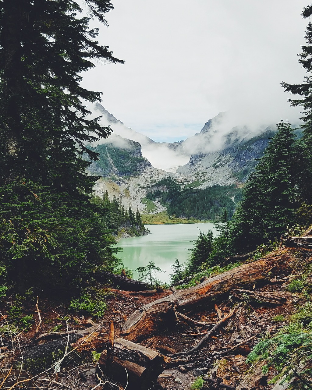 mountain trees lake free photo