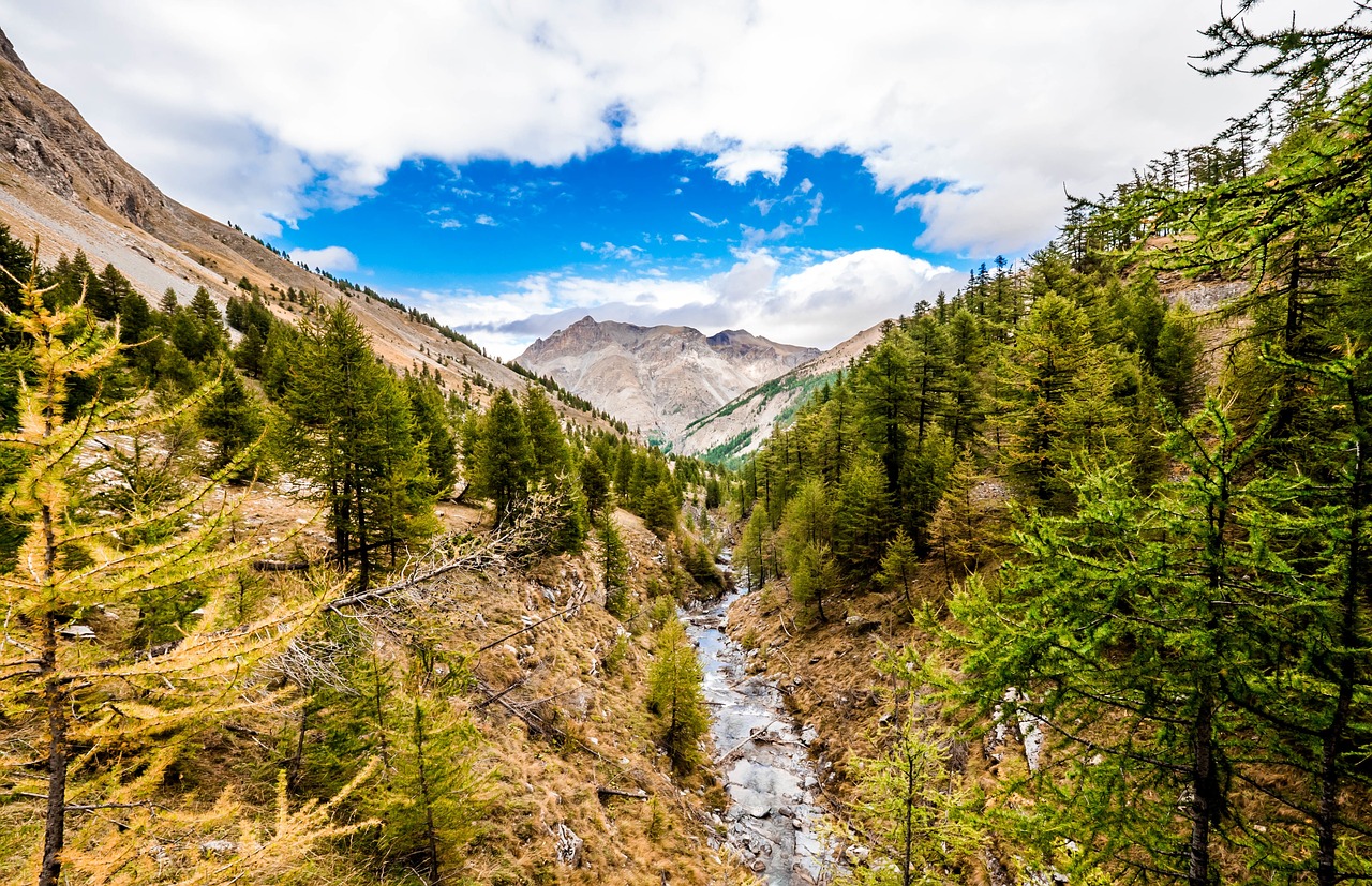 mountain stream water free photo