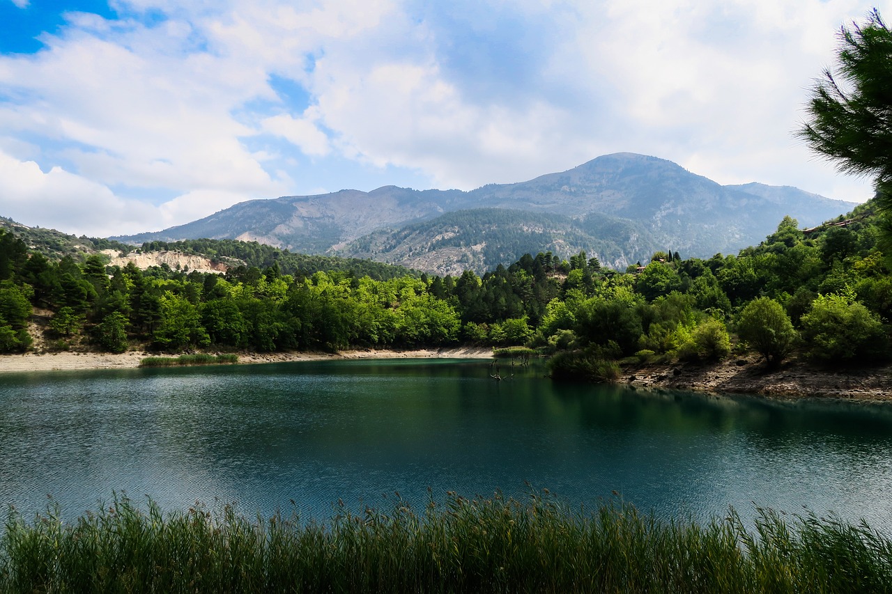 mountain trees grass free photo