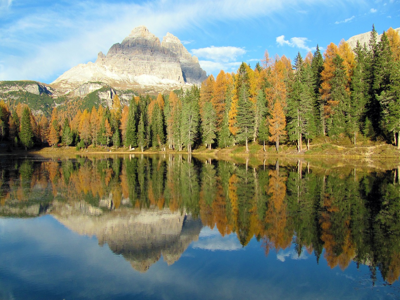 mountain landscape trees free photo