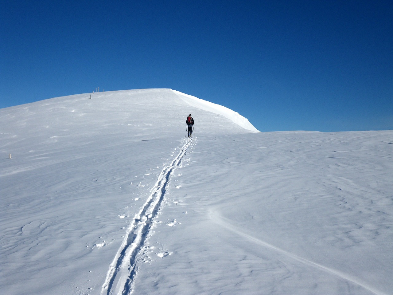 mountain snow winter free photo