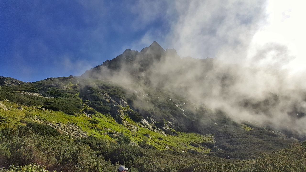 mountain nature fog free photo