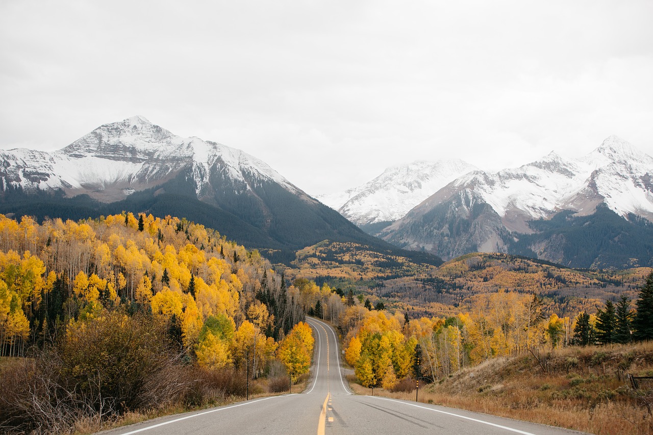 mountain landscape forest free photo