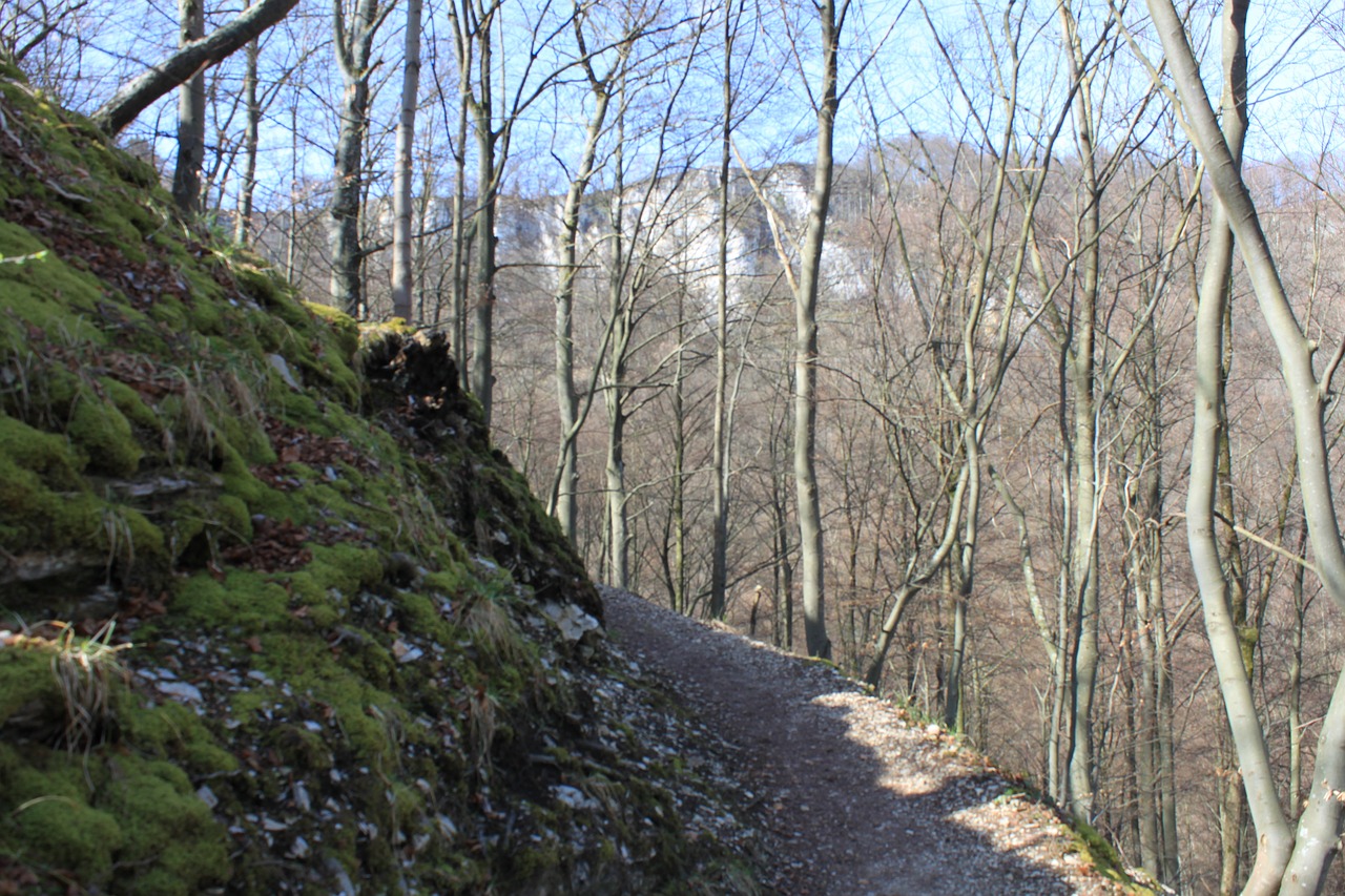 mountain germany path free photo